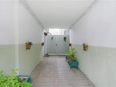 Picture 11